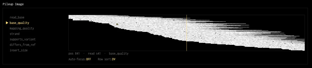 Base quality values represented as a grayscale image